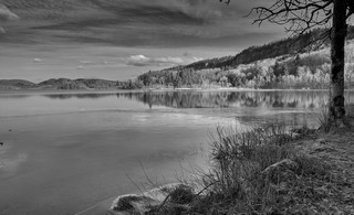Lac du Jura   |   6  /  7    |